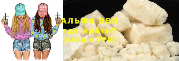 ECSTASY Белокуриха