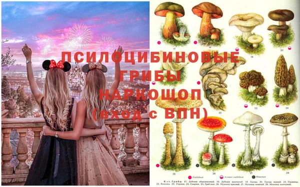 ECSTASY Белокуриха